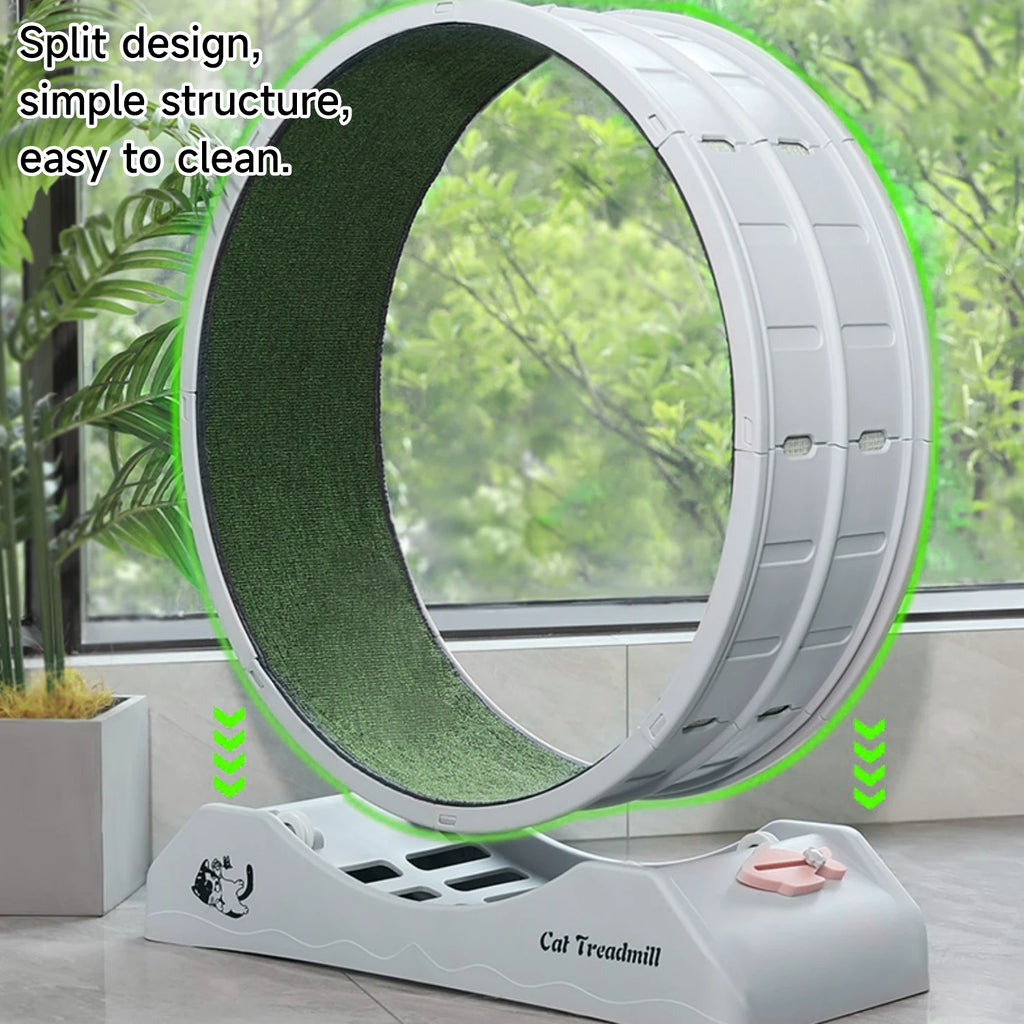 Rueda de ejercicio para gatos