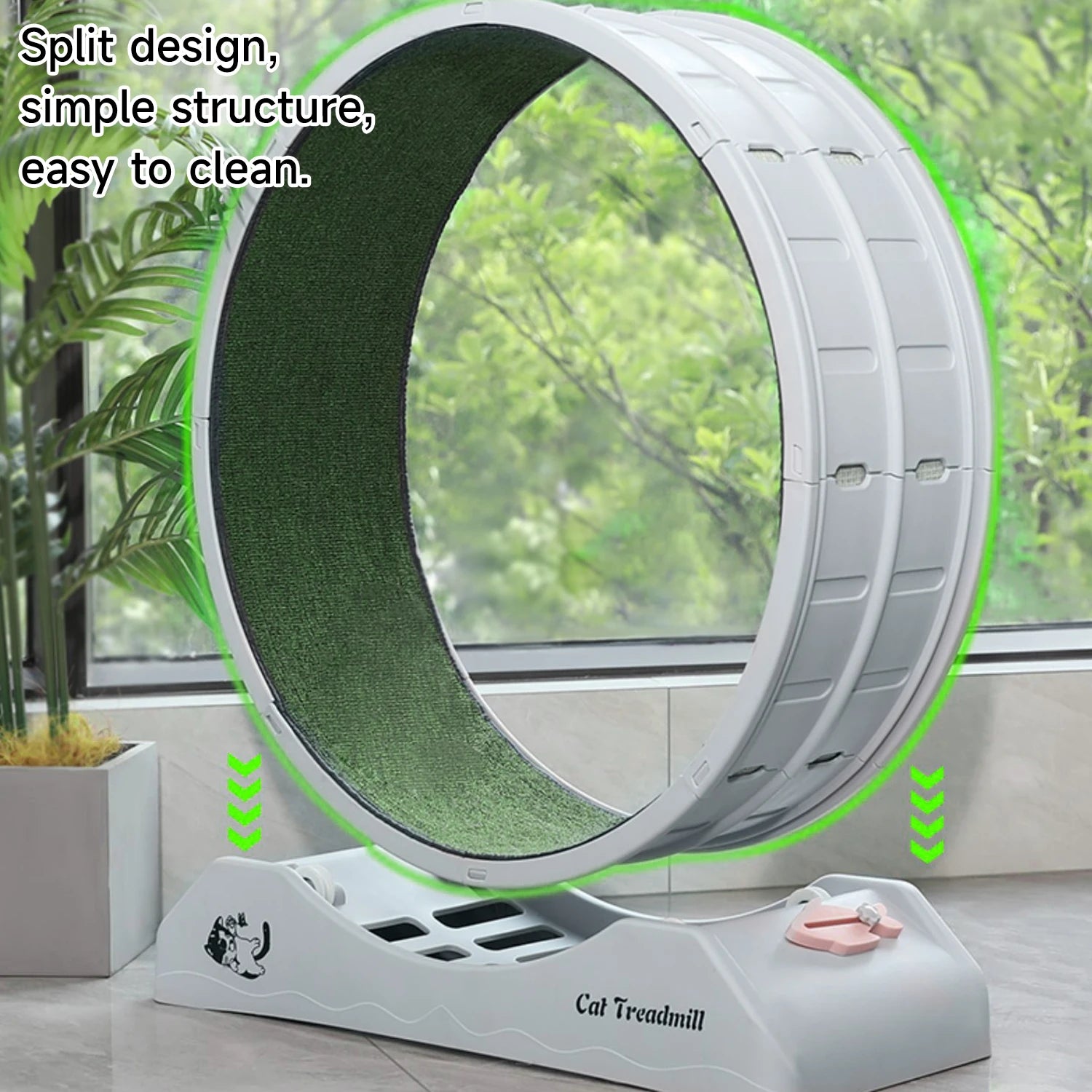 Rueda de ejercicio para gatos