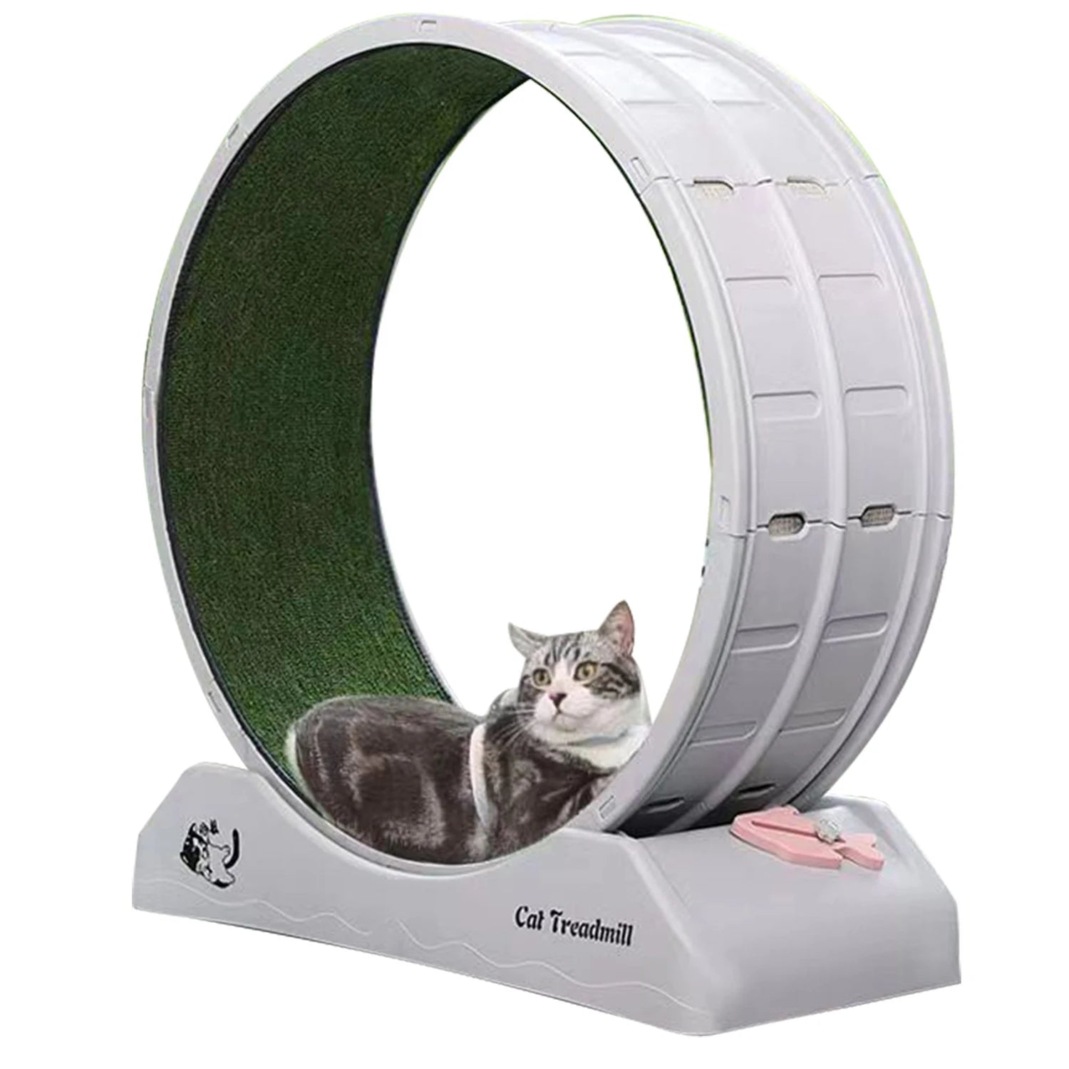 Rueda de ejercicio para gatos