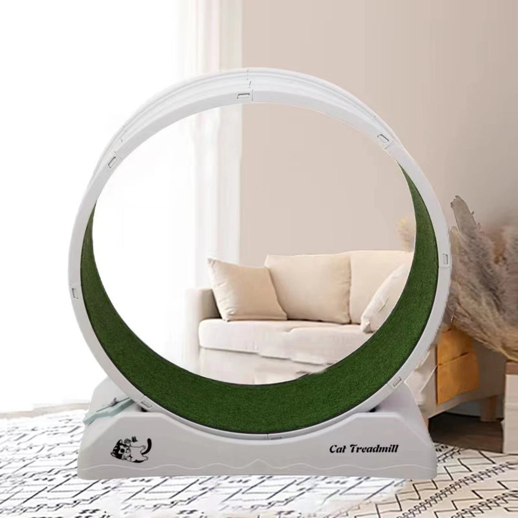 Rueda de ejercicio para gatos