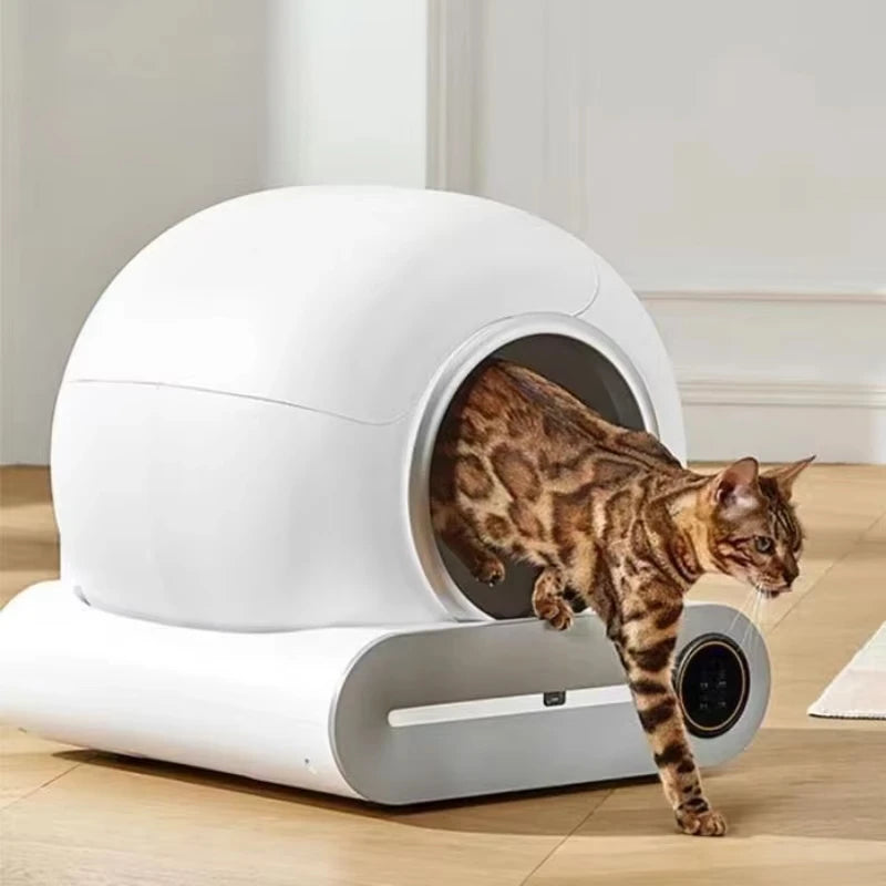 Arenero automático inteligente para gatos